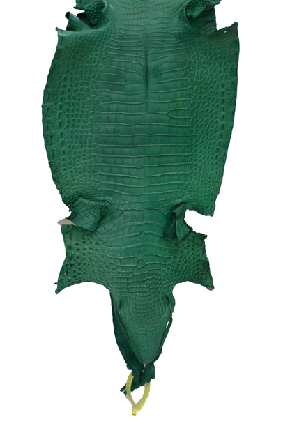 26 cm Grade 4/5 Kelly Green Matte Farm Raised American Alligator Leather - Tag: FL22-0030178