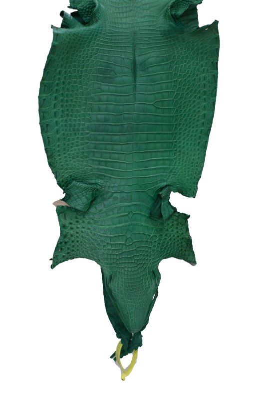 26 cm Grade 4/5 Kelly Green Matte Farm Raised American Alligator Leather - Tag: FL22-0030178