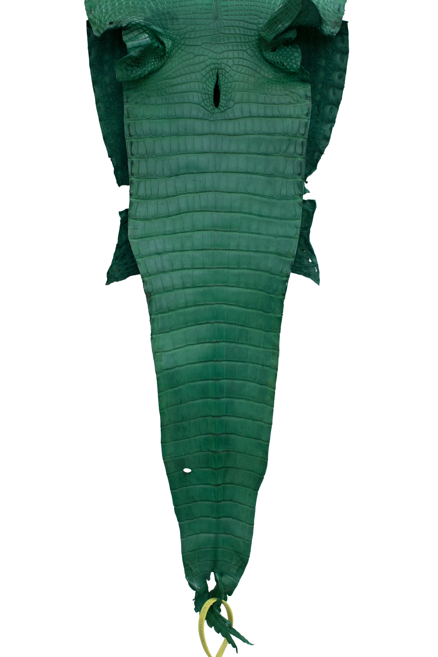 26 cm Grade 4/5 Kelly Green Matte Farm Raised American Alligator Leather - Tag: FL22-0030178