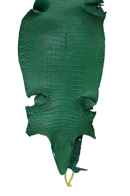 26 cm Grade 2/3 Kelly Green Matte Farm Raised American Alligator Leather - Tag: FL22-0030192