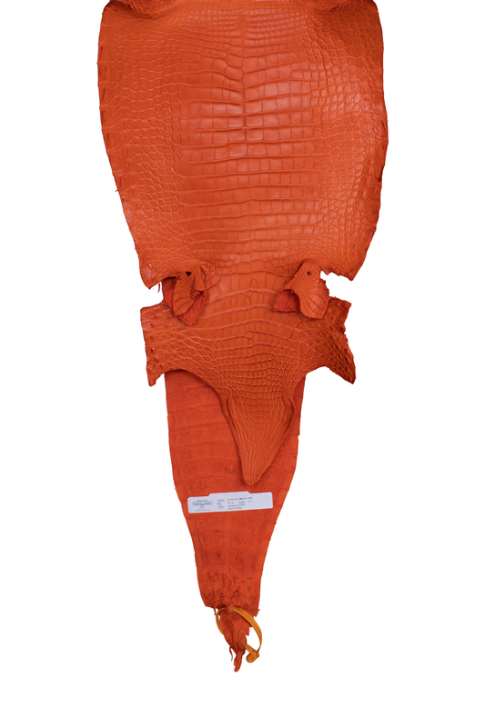 30 cm Grade 1/2 Orange Matte Farm American Alligator Leather - Tag: FL22-0030238