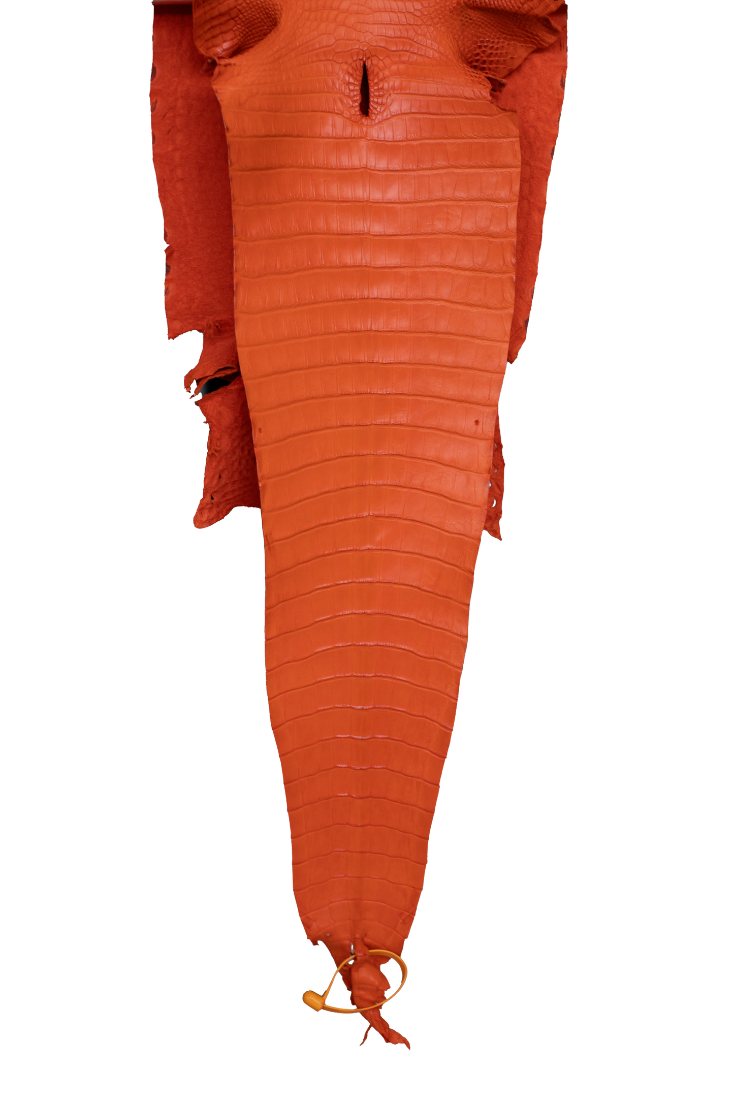 28 cm Grade 1/2 Orange Matte Farm American Alligator Leather - Tag: FL22-0030373