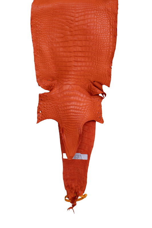 28 cm Grade 1/2 Orange Matte Farm American Alligator Leather - Tag: FL22-0030373