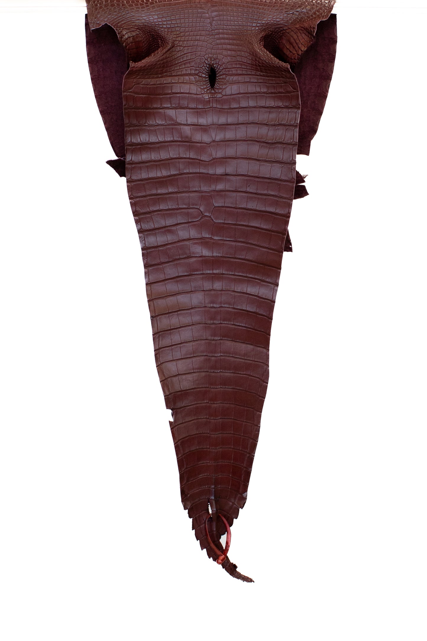 39 cm Grade 1/2 Bordeaux Matte Farm Raised American Alligator Leather - Tag: FL18-0034616