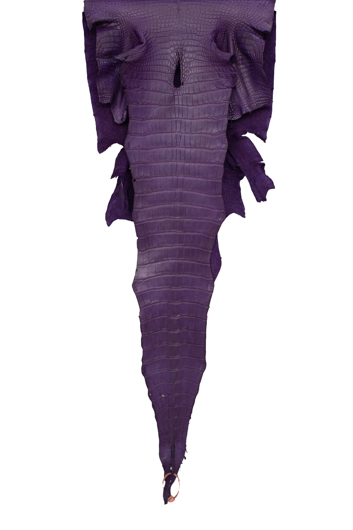 45 cm Grade 3/4 Violet Primavera Matte Wild American Alligator Leather - Tag: LA16-0036605