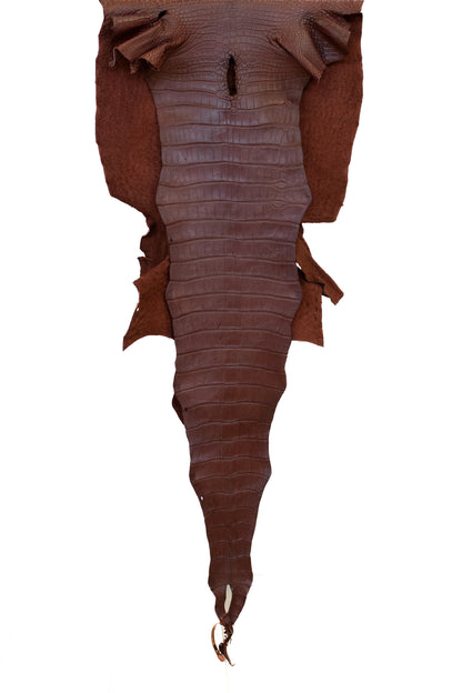 52 cm Grade 2/3 Italian Gold Matte Wild American Alligator Leather - Tag: LA18-0037818