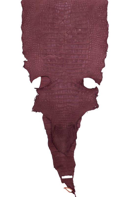 76 cm Grade 4/5 Bordeaux Nubuck Wild American Alligator Leather - Tag: LA22-0038801