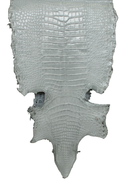 32 cm Grade 2/3 Medium Grey Millennium Farm Raised American Alligator Leather - Tag: GA21-0044975