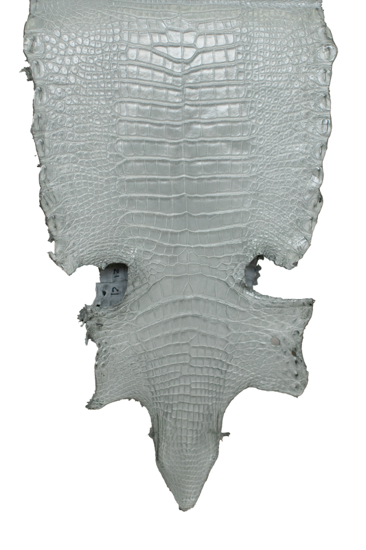 32 cm Grade 2/3 Medium Grey Millennium Farm Raised American Alligator Leather - Tag: GA21-0044975