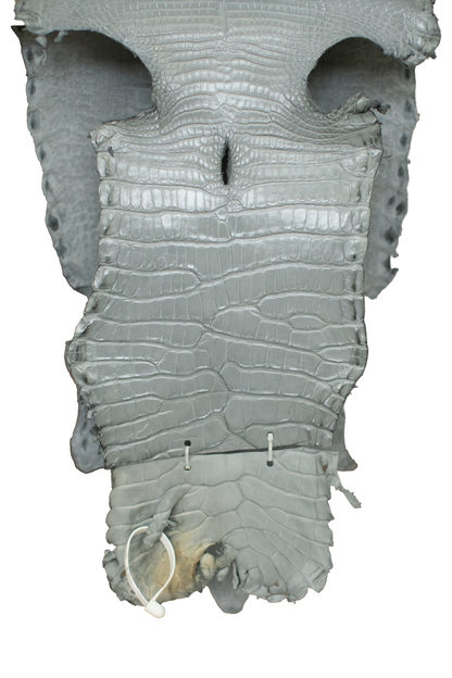 32 cm Grade 2/3 Medium Grey Millennium Farm Raised American Alligator Leather - Tag: GA21-0044975