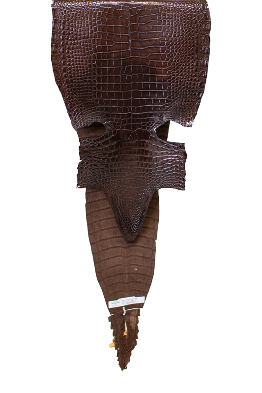 36 cm Grade 1/2 Chocolate Millennium Farm RaisedAmerican Alligator Leather - Tag: FL17-0052580