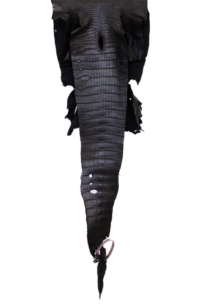 27 cm Grade 1/2 Black Matte Wild American Alligator Leather - Tag: LA21-0101547