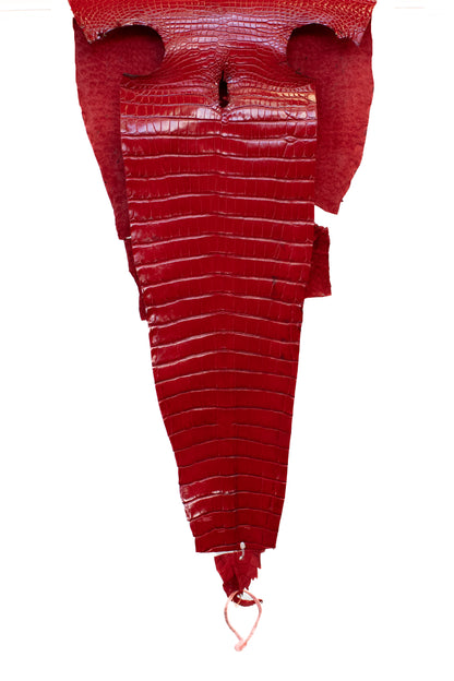38 cm Grade 2/3 Bright Red Millennium Certified Farm Raised American Alligator Leather - Tag: LA18-0267178