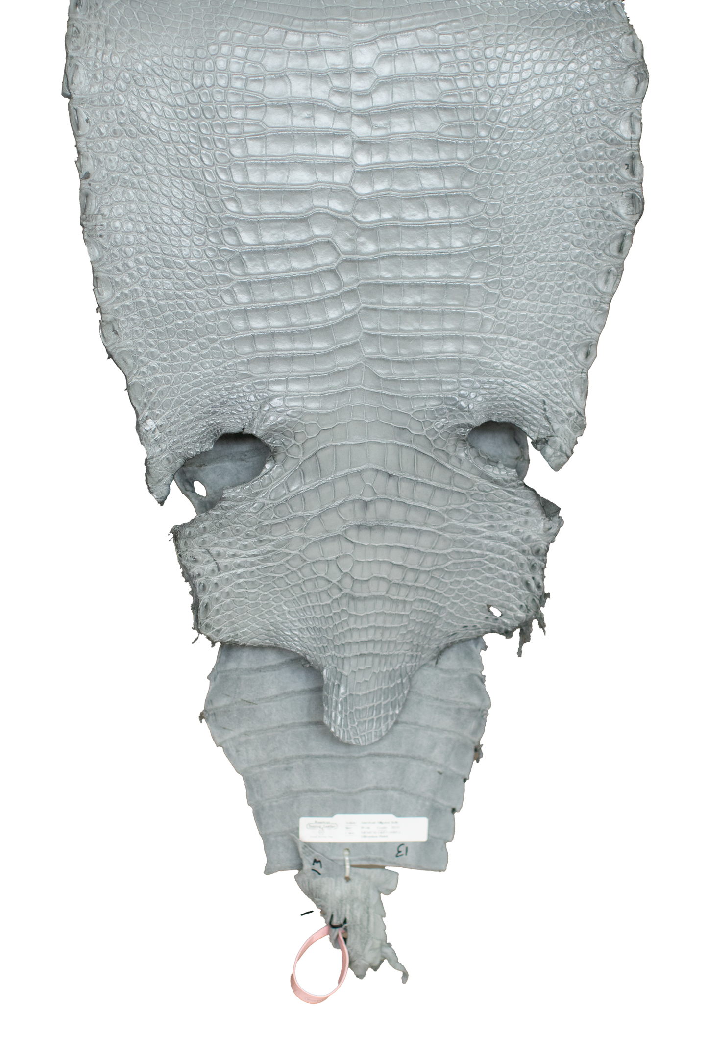 39 cm Grade 3/4 Medium Grey Millennium Farm Raised American Alligator Leather - Tag: LA18-0267195