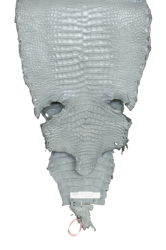 39 cm Grade 3/4 Medium Grey Millennium Farm Raised American Alligator Leather - Tag: LA18-0267195