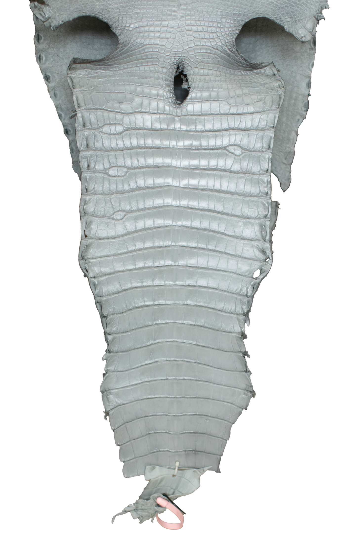 39 cm Grade 3/4 Medium Grey Millennium Farm Raised American Alligator Leather - Tag: LA18-0267195
