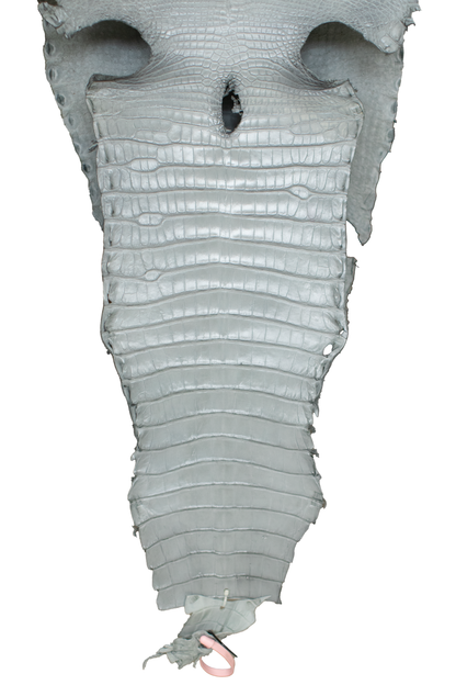 39 cm Grade 3/4 Medium Grey Millennium Farm Raised American Alligator Leather - Tag: LA18-0267195