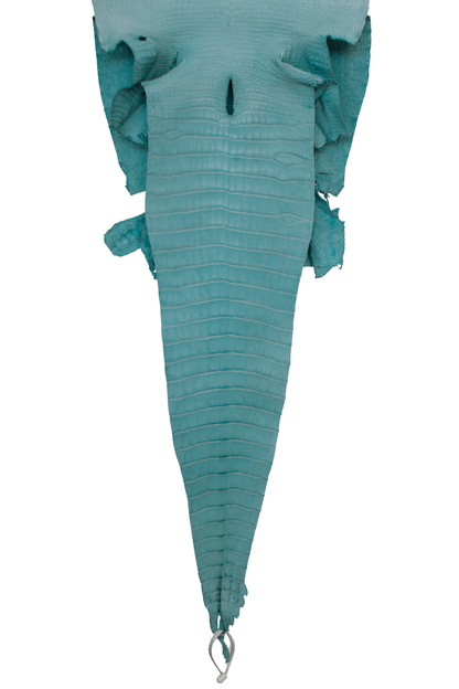 39 cm Grade 2/3 Aqua Matte Farm Raised American Alligator Leather - Tag: LA17-0279294