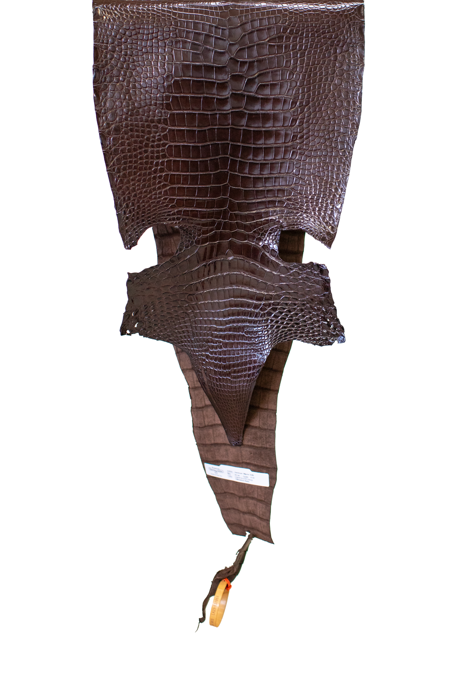 34 cm Grade 2/3 Chocolate Millennium Farm Raised American Alligator Leather - Tag: LA23-0531968