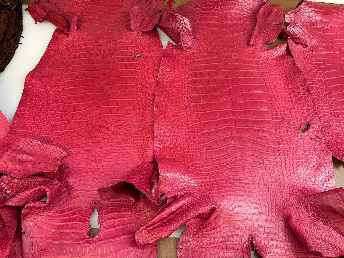 2 scarlet skins for Alex