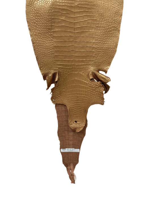 36 cm Grade 2/3 Champagne Metallic Matte Farm-Raised American Alligator Leather - Tag: FL17-0036795