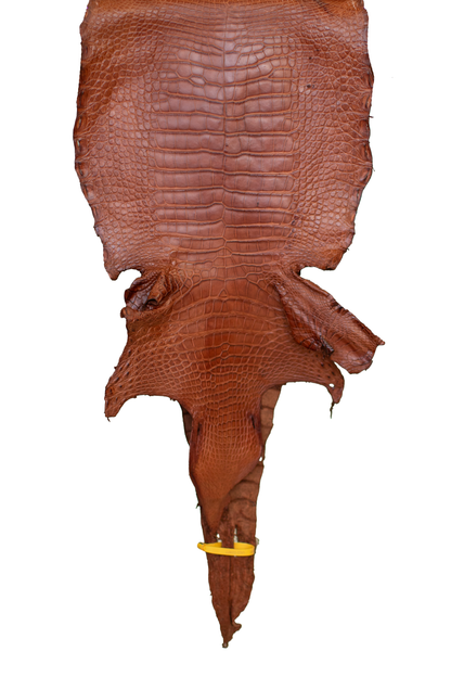 38 cm Grade 2/3 MS Cognac Matte Wild American Alligator Leather - Tag: LA22-0020977
