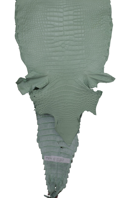32 cm Grade 1/2 Mint Green Matte Farm Raised American Alligator Leather - Tag: FL21-0023995