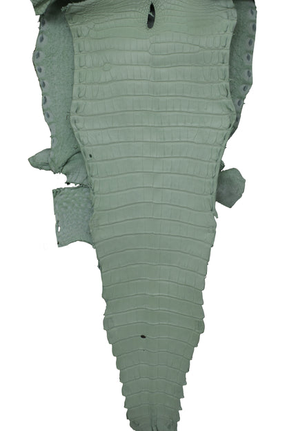 32 cm Grade 1/2 Mint Green Matte Farm Raised American Alligator Leather - Tag: FL21-0023995