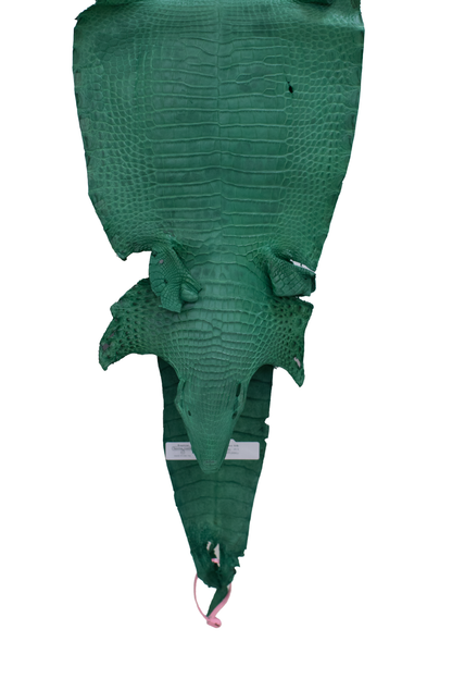 27 cm Grade 4/5 Kelly Green Matte Farm Raised American Alligator Leather - Tag: FL21-0024559