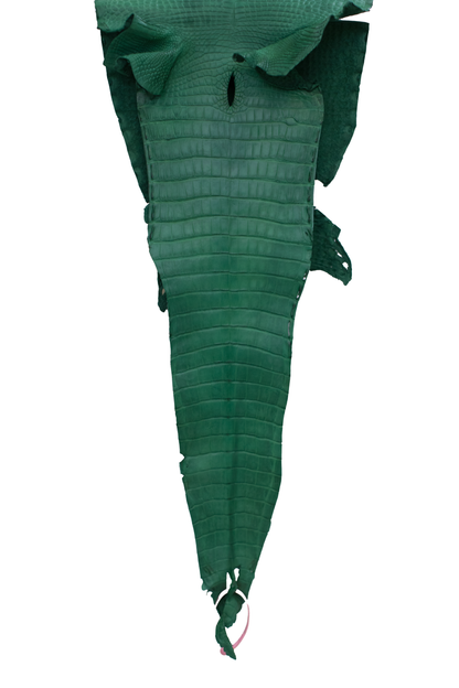 27 cm Grade 4/5 Kelly Green Matte Farm Raised American Alligator Leather - Tag: FL21-0024559