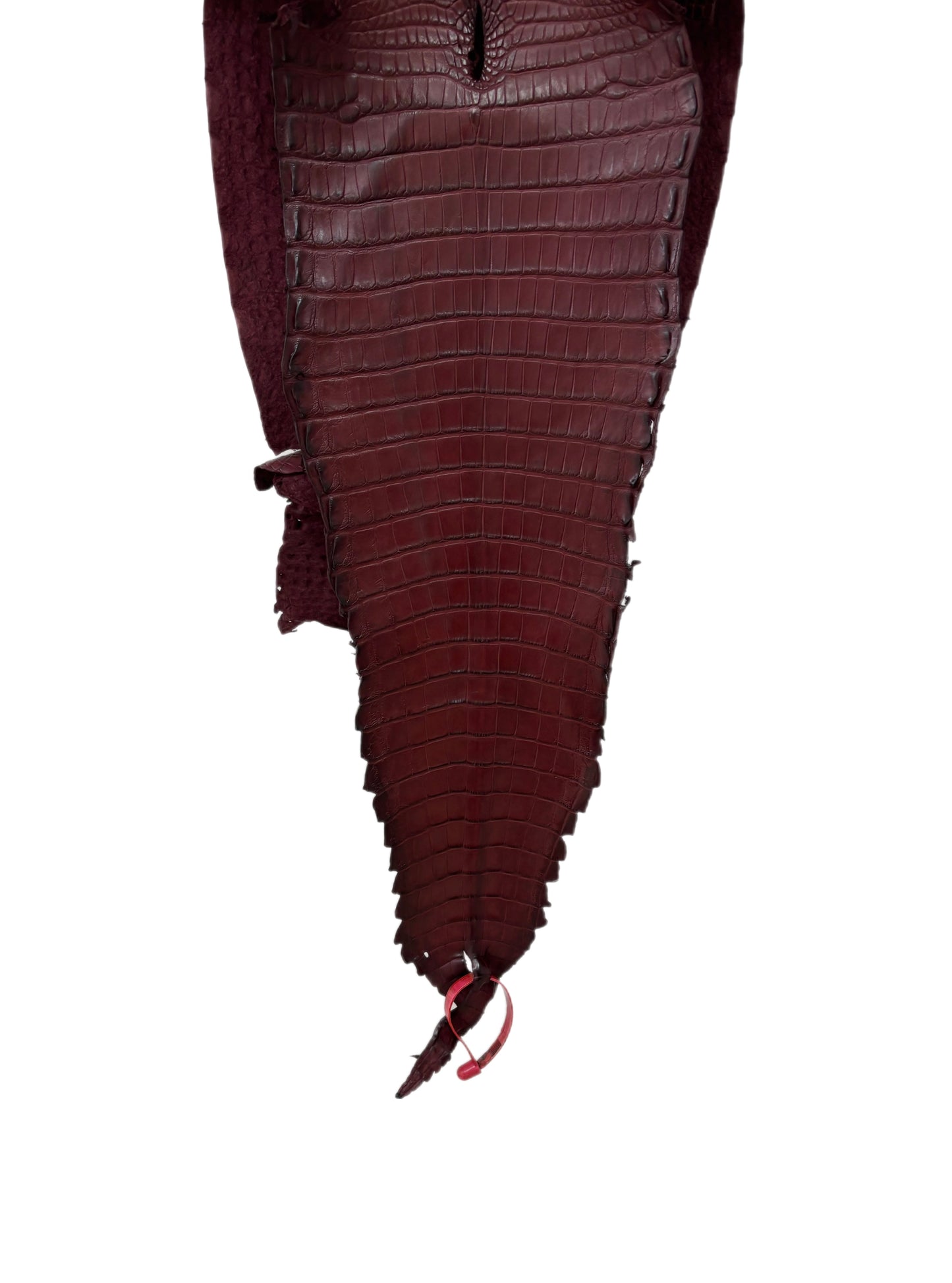 27 cm Grade 2/3 Bordeaux Matte Farm-Raised American Alligator Leather - Tag: FL21-0024723