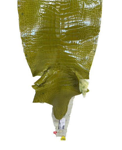 CLOSEOUT | 41 cm Grade 2/3 Muguet Glazed Wild American Alligator Leather - Tag: CCIT-0539955