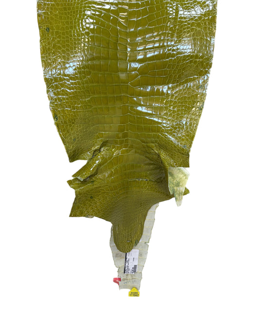 CLOSEOUT | 41 cm Grade 2/3 Muguet Glazed Wild American Alligator Leather - Tag: CCIT-0539955