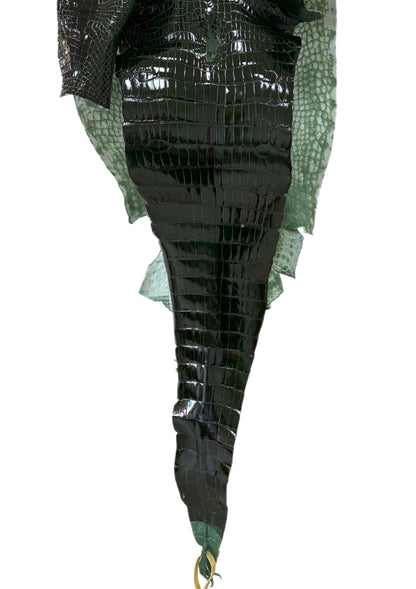 35 cm Grade 1/2 Forest Green Glazed Wild American Alligator Leather - Tag: LA16-0018005