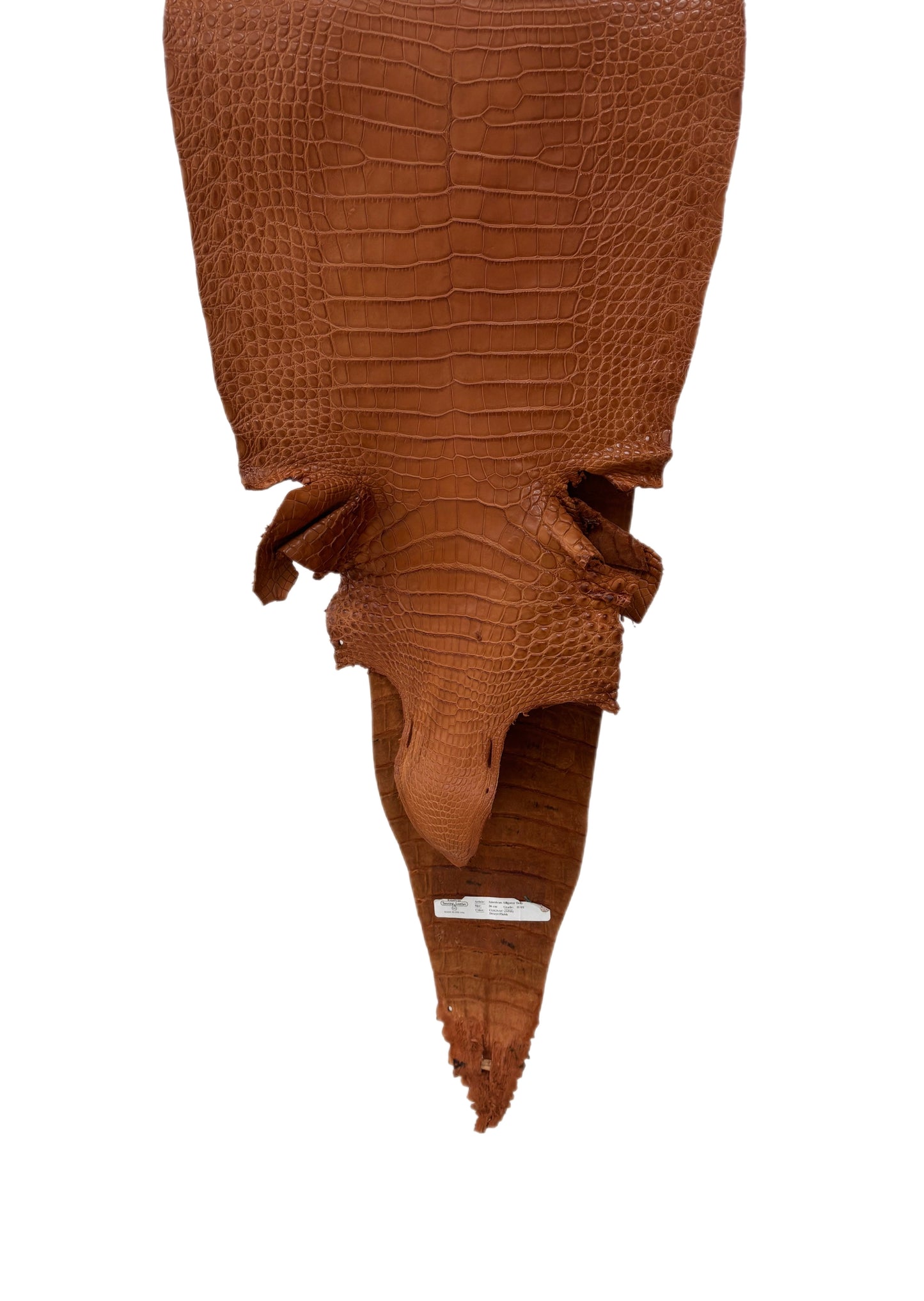 36 cm Grade 2/3 Cognac Matte Farm-Raised American Alligator Leather - Tag: FL17-0052643