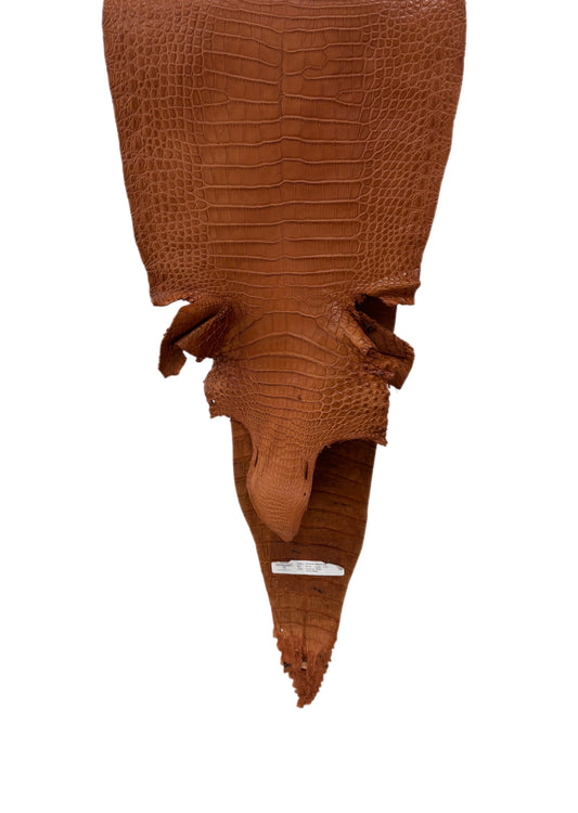 36 cm Grade 2/3 Cognac Matte Farm-Raised American Alligator Leather - Tag: FL17-0052643