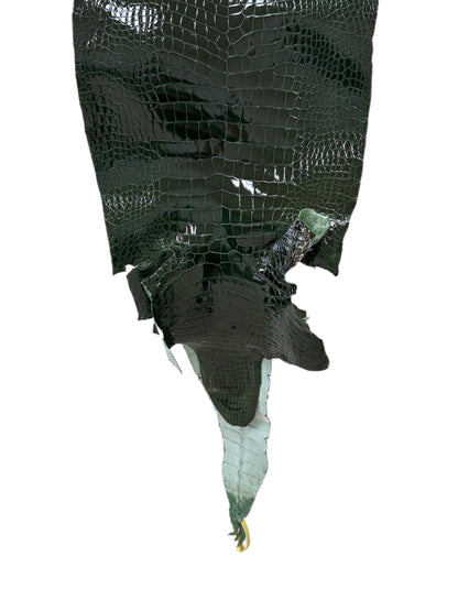 35 cm Grade 1/2 Forest Green Glazed Wild American Alligator Leather - Tag: LA16-0018005