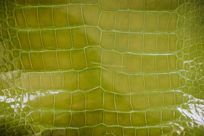 CLOSEOUT | 43-51 cm Muguet Glazed American Alligator Leather