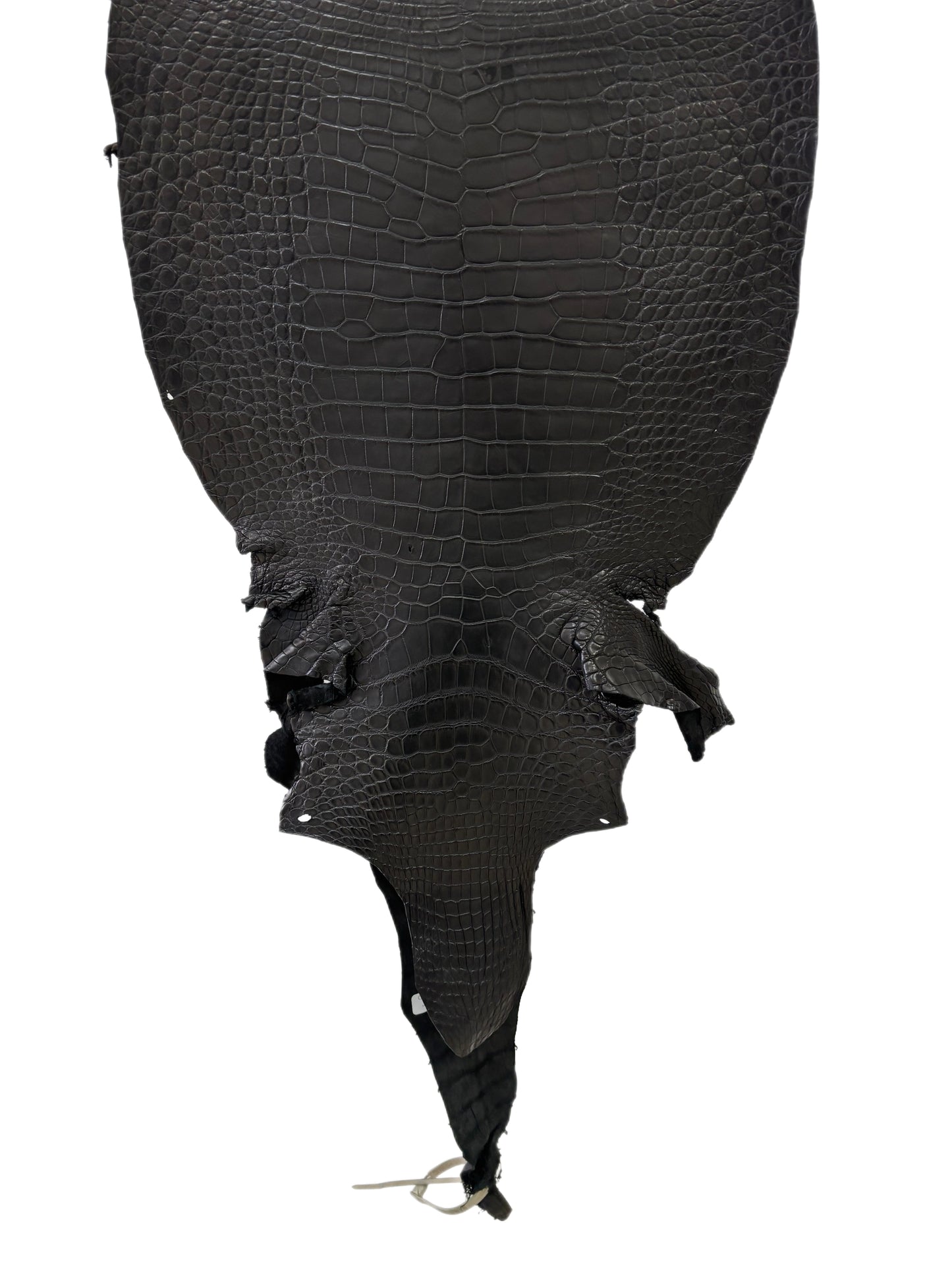 42 cm Grade 3/4 Black Matte Wild American Alligator Leather - Tag: LA23-0002147