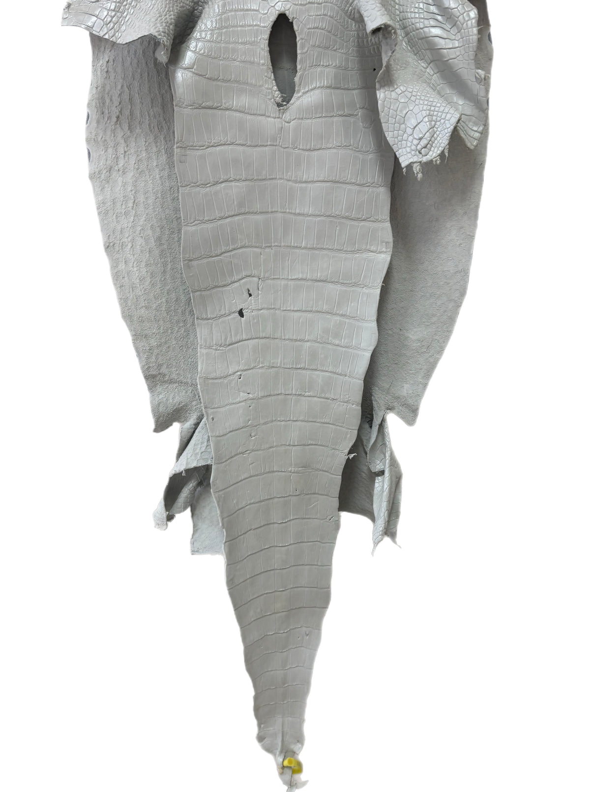 49 cm Grade 1/2 White Pearl Matte Wild American Alligator Leather - Tag: LA25-0010757
