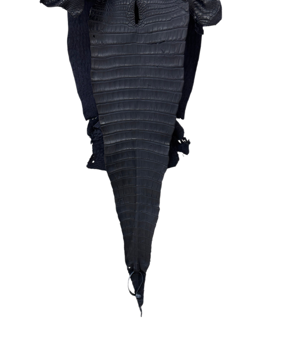 32 cm Grade 2/3 Navy Blue Matte Farm-Raised American Alligator Leather - Tag: FL17-0035807