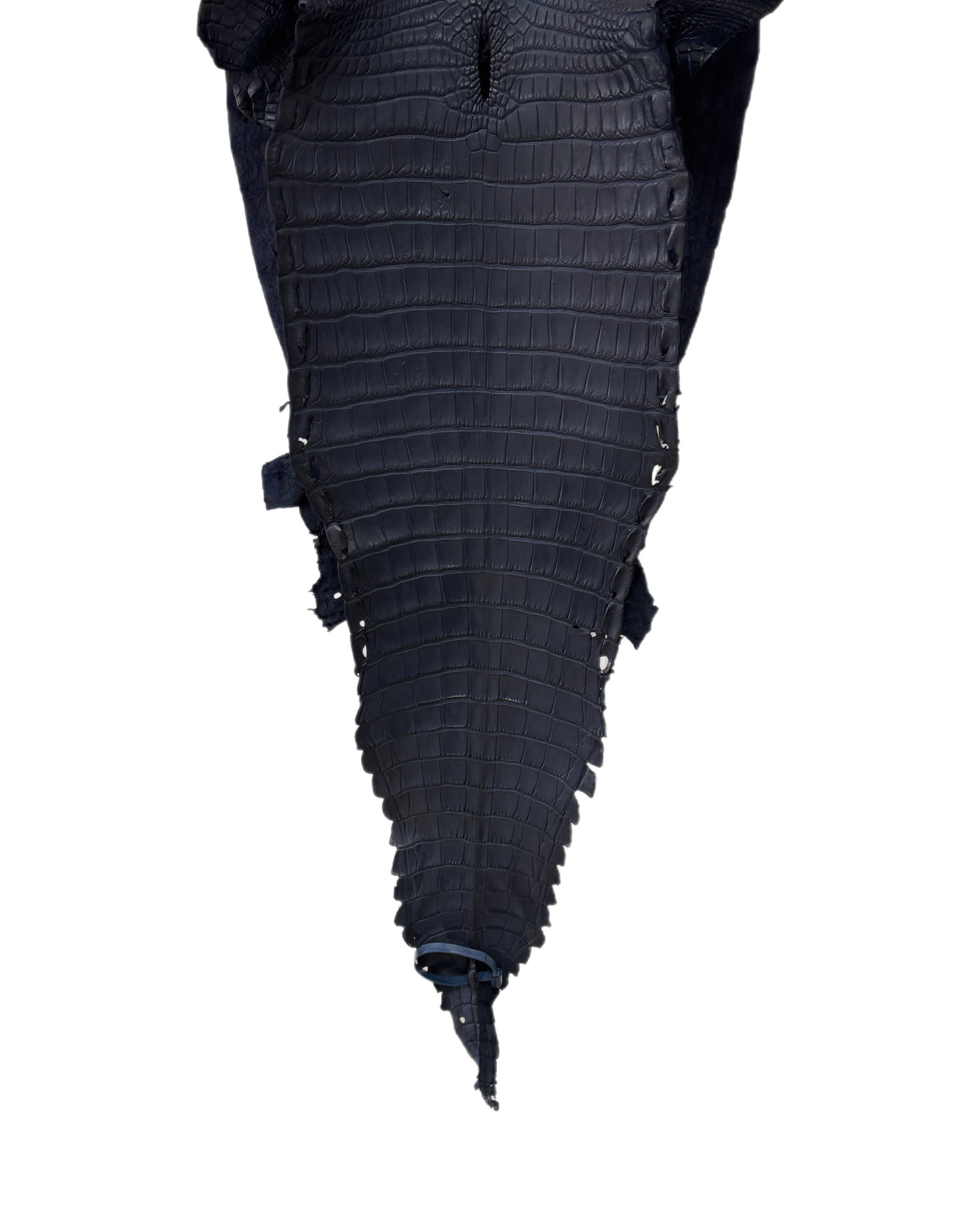 34 cm Grade 2/3 Navy Blue Matte Farm-Raised American Alligator Leather - Tag: FL17-0052880