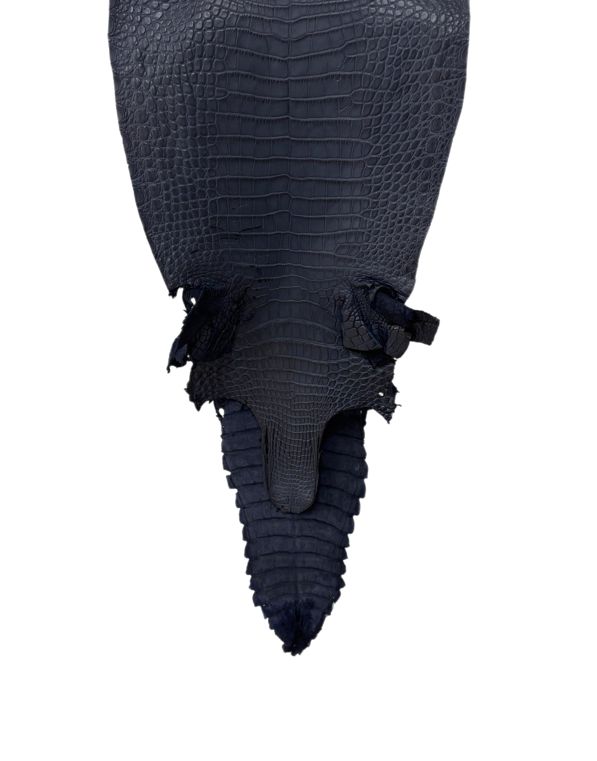 34 cm Grade 2/3 Navy Blue Matte Farm-Raised American Alligator Leather - Tag: FL17-0052880