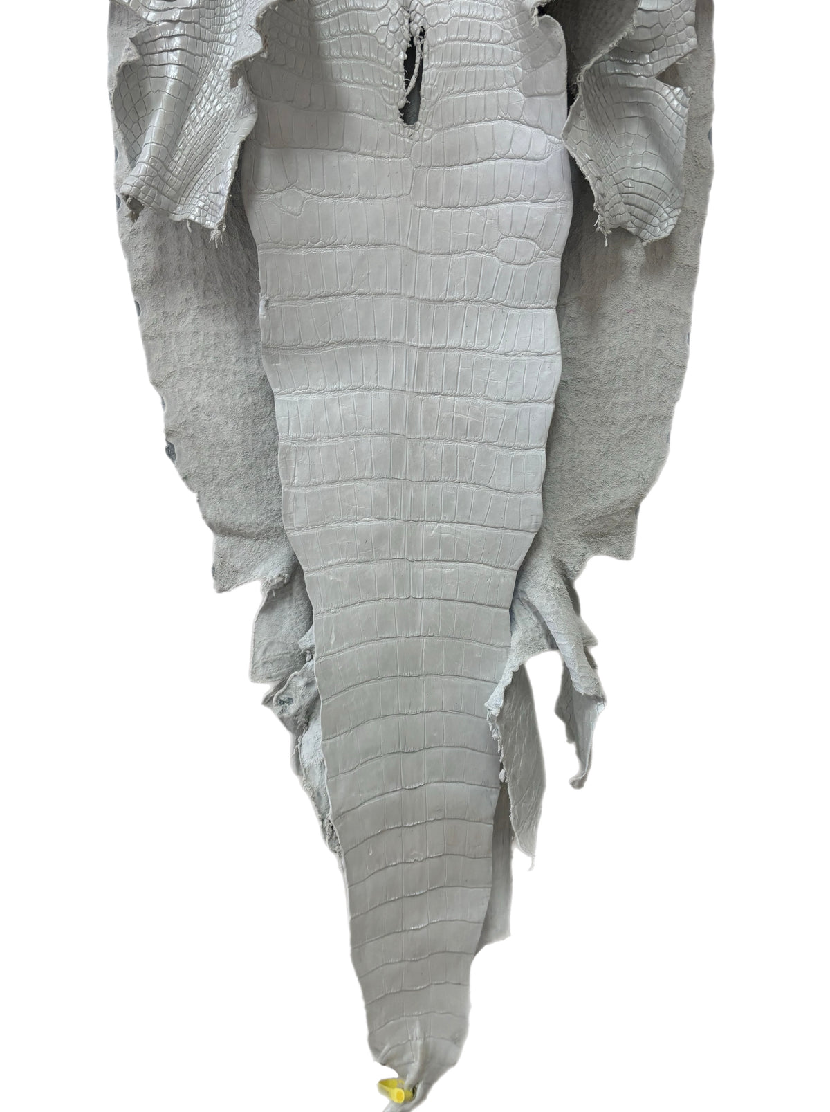 50 cm Grade 2/3 White Pearl Matte Wild American Alligator Leather - Tag: LA25-0010999