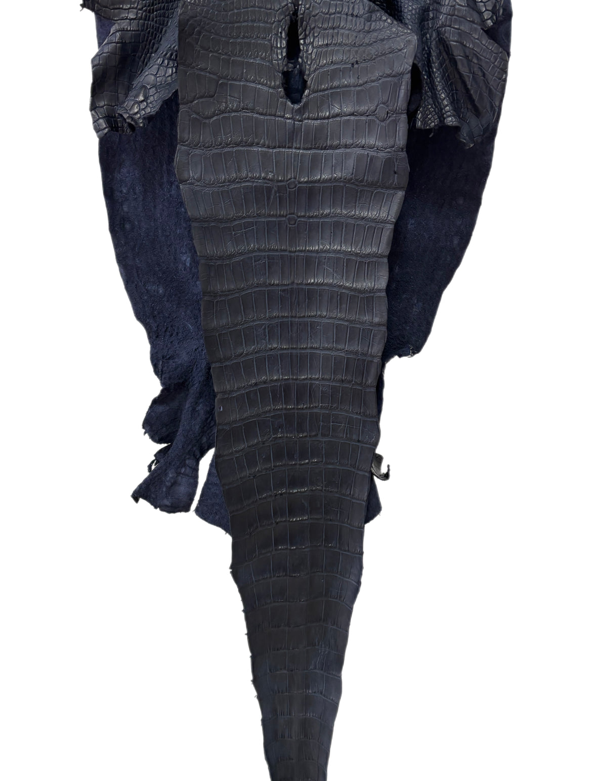 42 cm Grade 4/5 Navy Blue Matte Wild American Alligator Leather - Tag: LA25-0501230