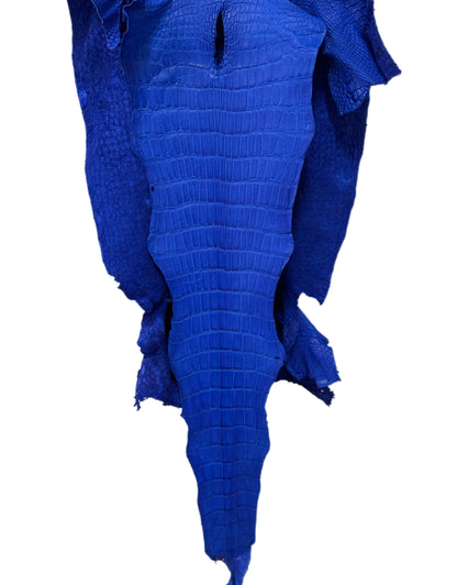 45 cm Grade 4/5 Royal Blue Matte Wild American Alligator Leather - Tag: LA23-0048239