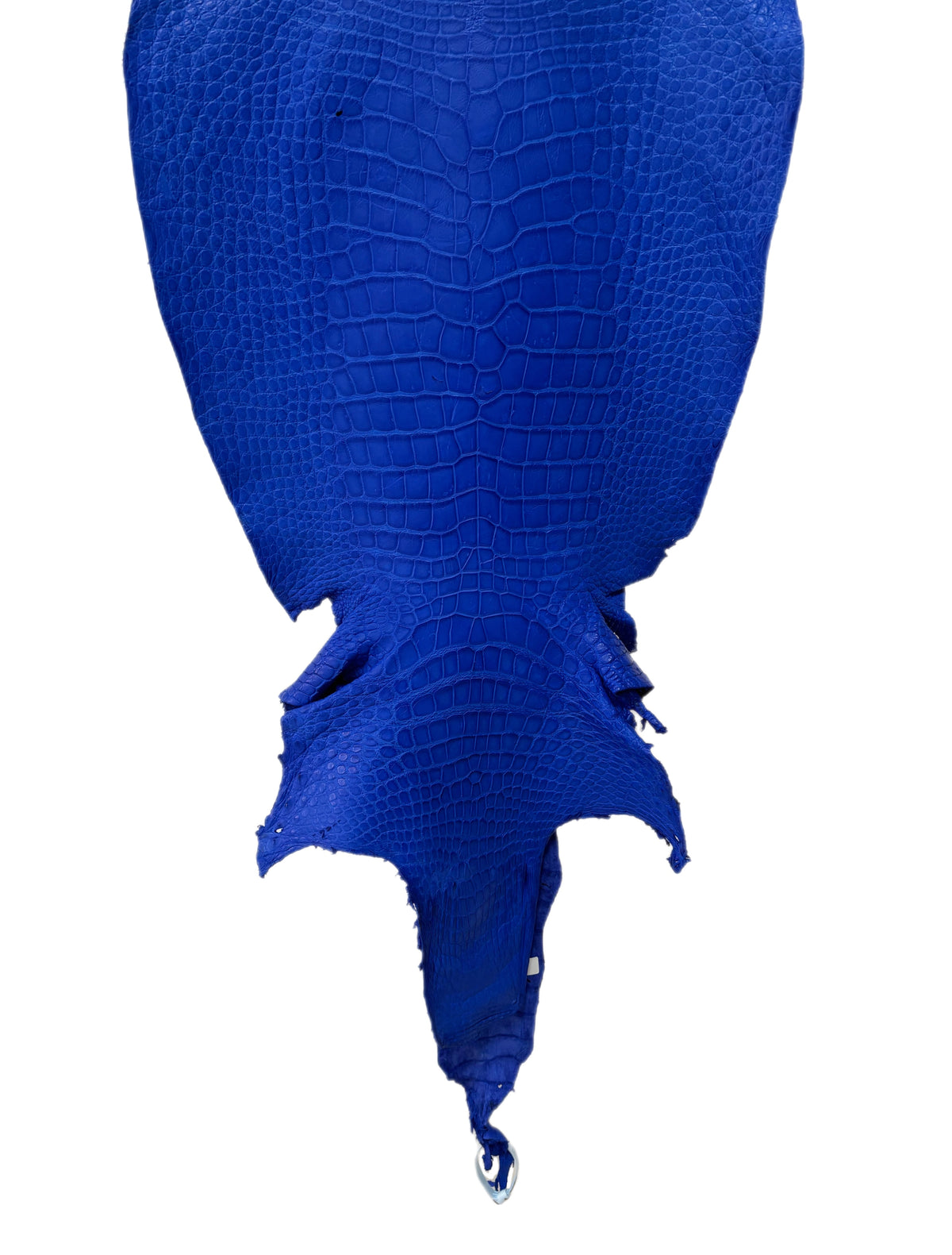 45 cm Grade 4/5 Royal Blue Matte Wild American Alligator Leather - Tag: LA23-0048239