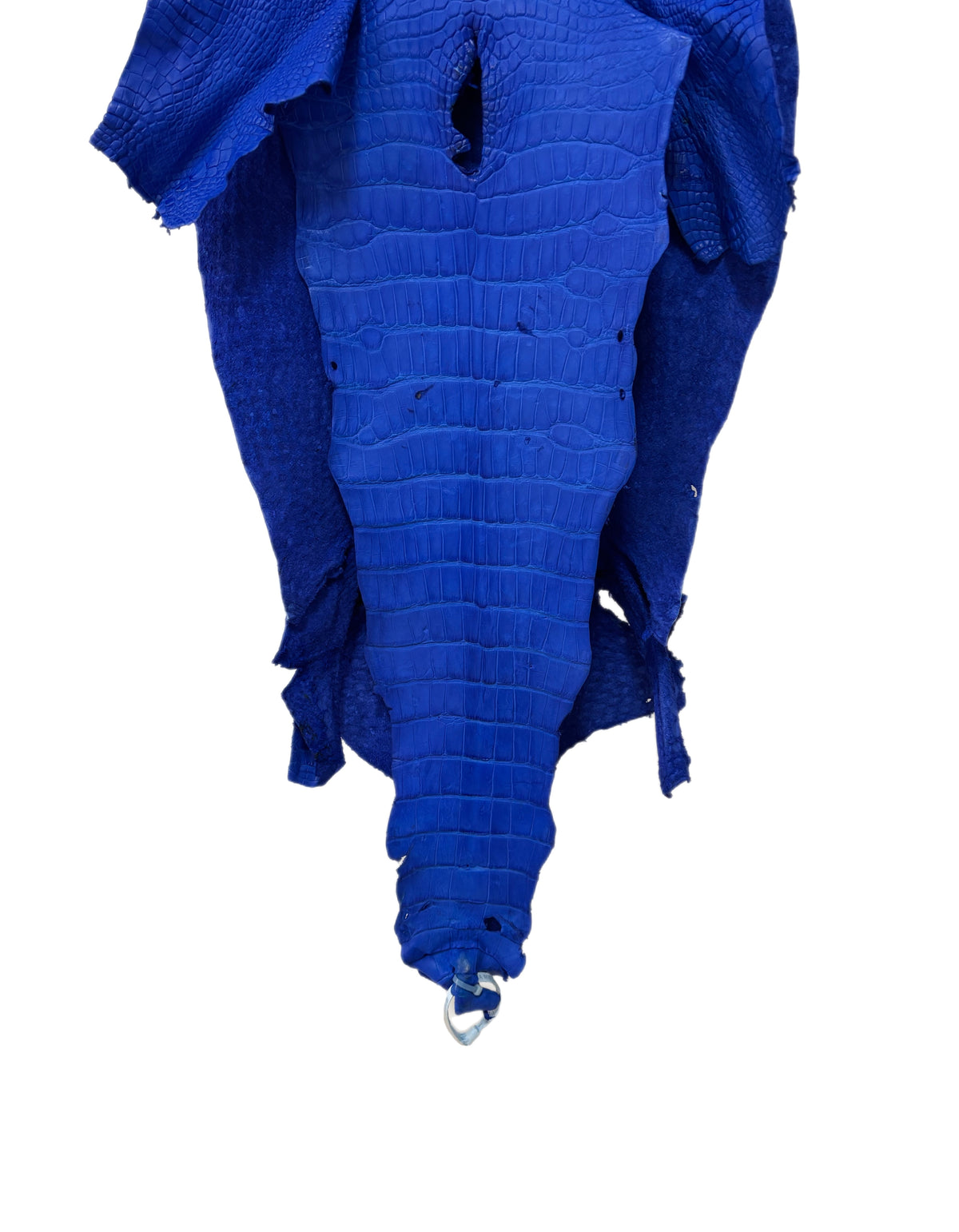 41 cm Grade 4/5 Royal Blue Matte Wild American Alligator Leather - Tag: LA23-0015443