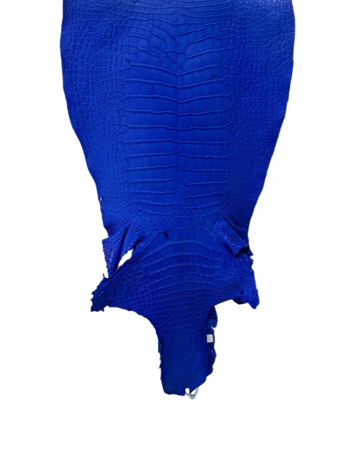 41 cm Grade 4/5 Royal Blue Matte Wild American Alligator Leather - Tag: LA23-0015443