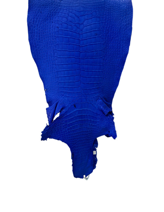 41 cm Grade 4/5 Royal Blue Matte Wild American Alligator Leather - Tag: LA23-0015443